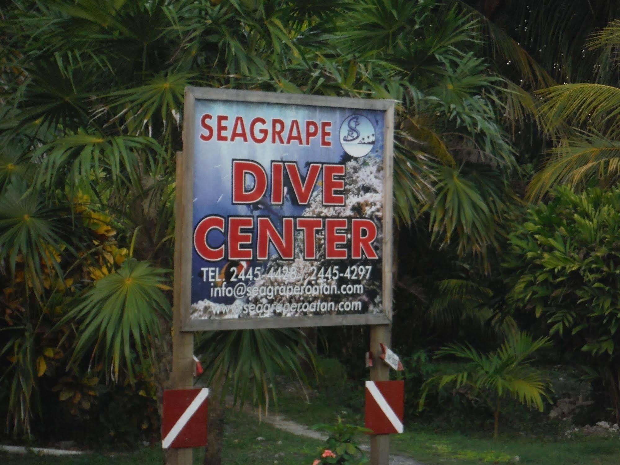 Seagrape Plantation Resort & Dive Center Уест Енд Екстериор снимка