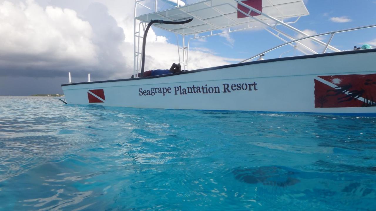 Seagrape Plantation Resort & Dive Center Уест Енд Екстериор снимка